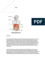 Laporan Pendahuluan Ileus Obstruktif Fitri Meilani 205130016 Urindo