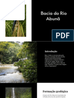 Wepik Explorando A Bacia Do Rio Abuna Uma Jornada Pela Historia e Ecologia Da Regiao 20230818170525kLg1