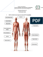 Lab Activity Muscle