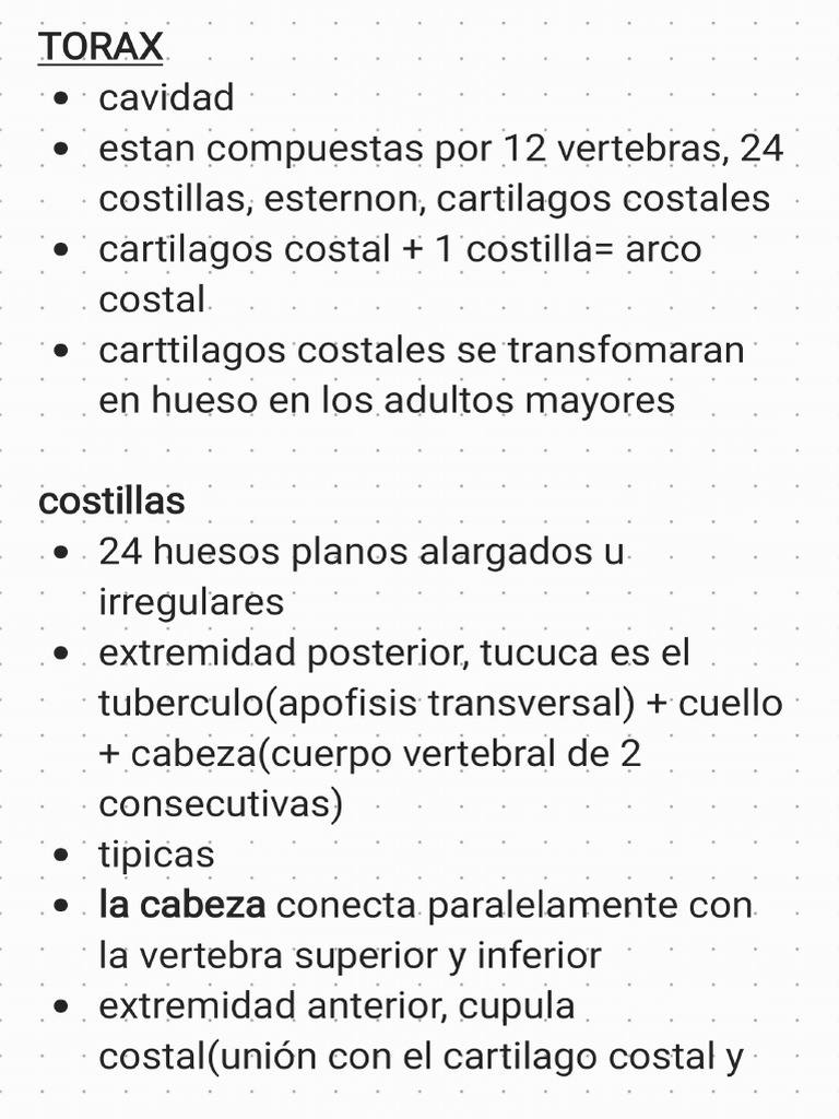 torax-230425-124140-pdf