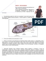 Canja Do Mankets - Protozoários