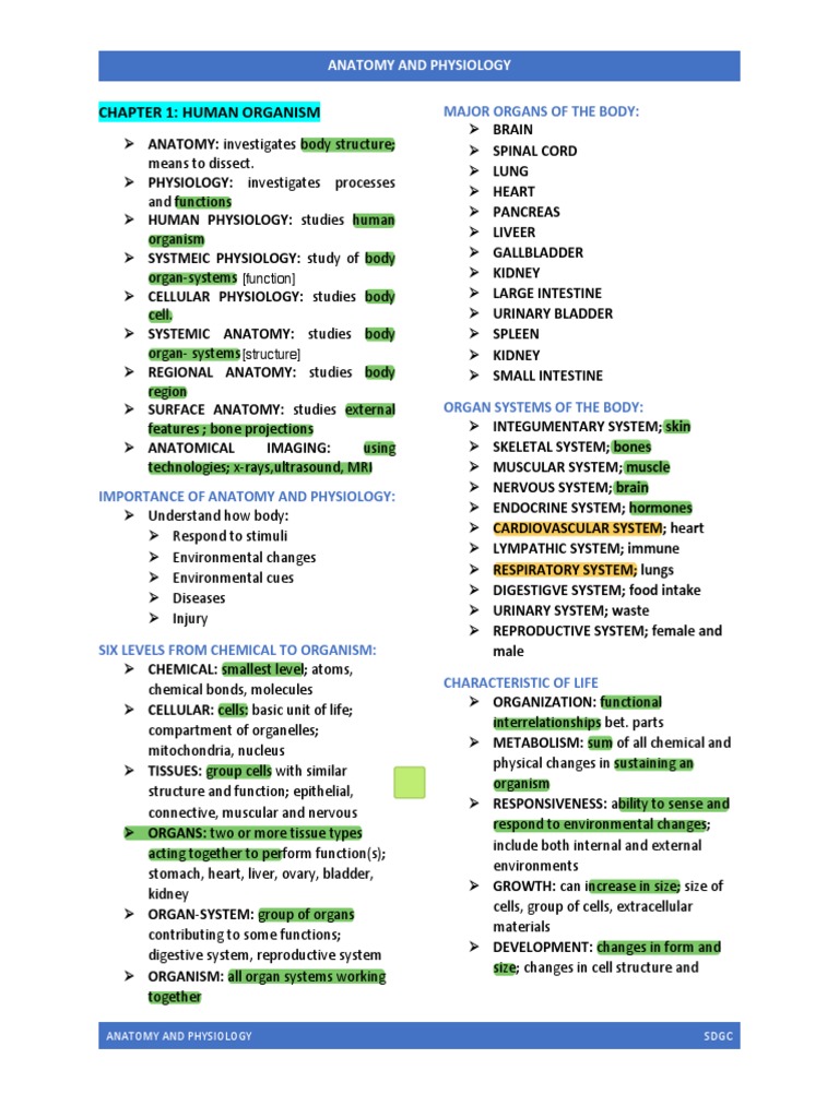 Anatomy and Physiology Chapter 1 9 | PDF | Chemical Reactions | Epithelium