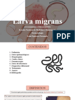 Larva Migrans