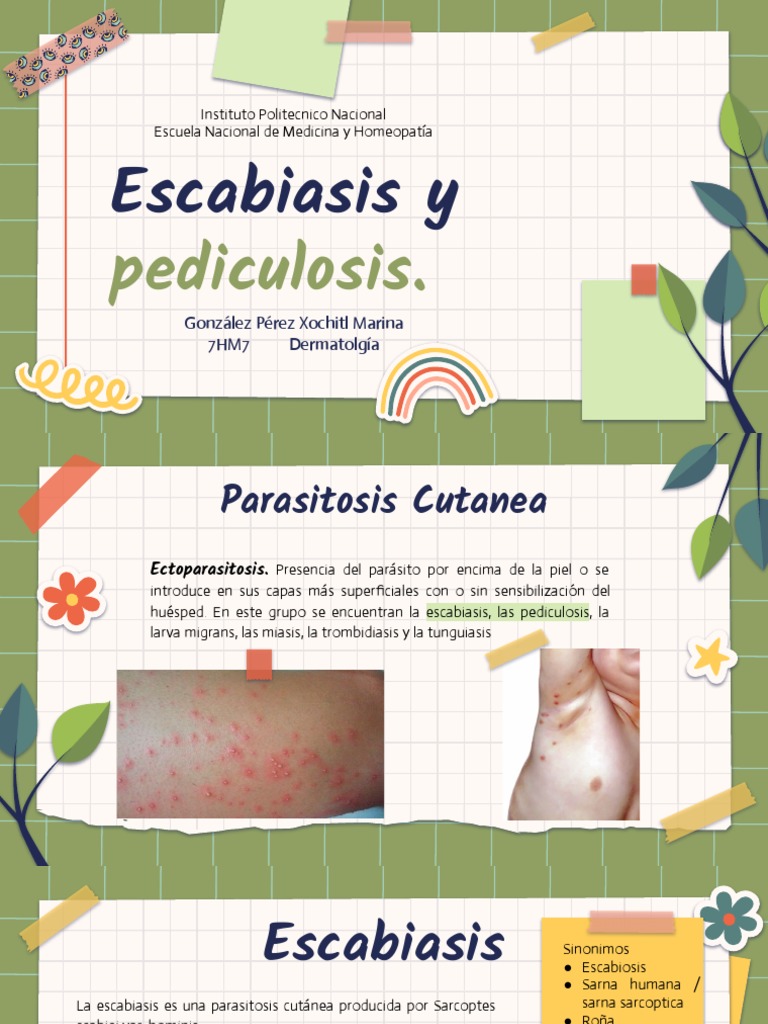 Escabiasis y Pediculosis. | PDF | Ciencia y matemáticas