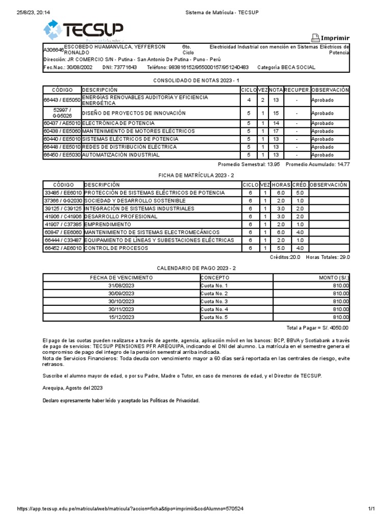 Sistema de matr cula tecsup pdf