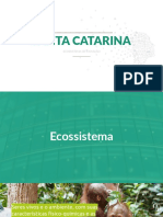 Apresentação SC Ecossistema de Inovação