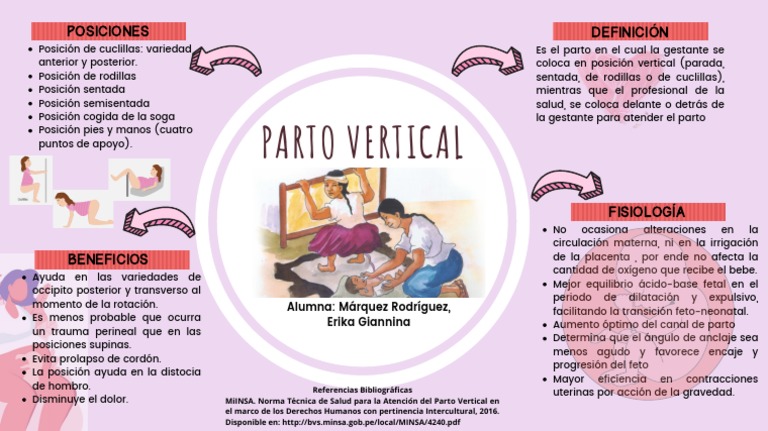 Parto Vertical | PDF | Parto | Embarazo Mamífero