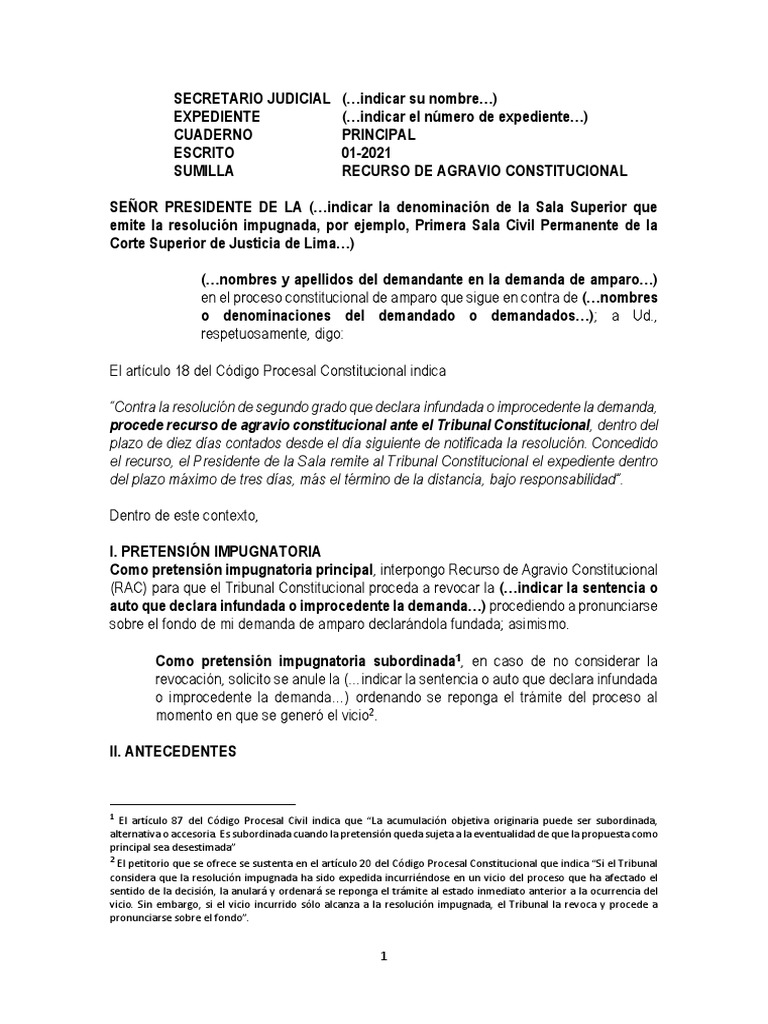 Modelo de Recurso de Amparo | PDF