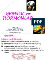 Gebelik Ve Hormonlar