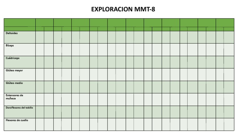 Evaluación MMT-8 de Músculos Clave | PDF