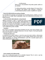 La Deforestación