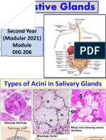 2 - DIG 206 (Digestive Glands) 2022-23