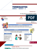 S02 Determinantes