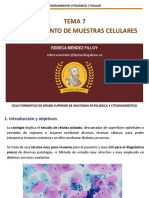 T7. Procesamiento de Muestras Celulares