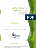 Mitocondrias y Cloroplastos