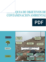 Jerarquia de Objetivos de Contaminacion Ambiental