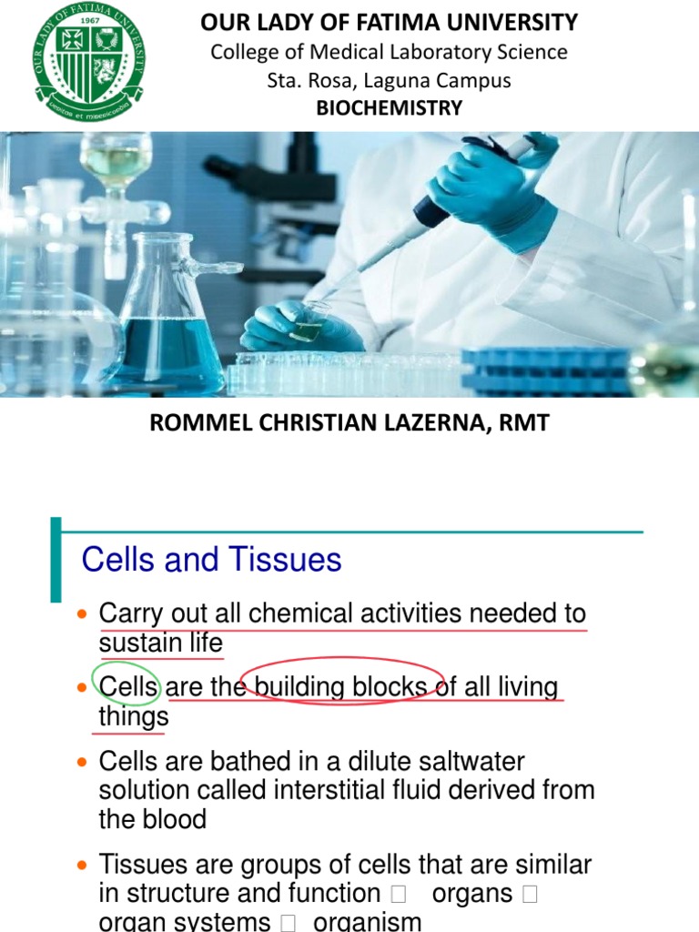 Cellphysiology 28129 | PDF | Mitosis | Cell Membrane