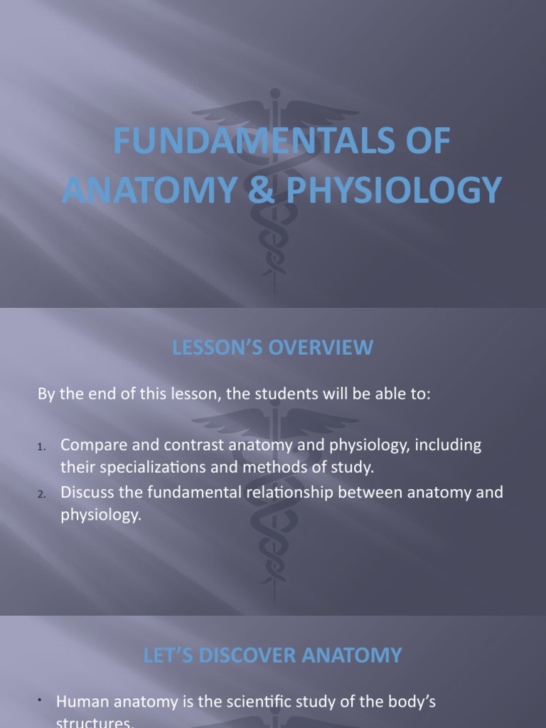 Anatomy and Physiology Fundamentals | PDF | Anatomical Terms Of Motion ...