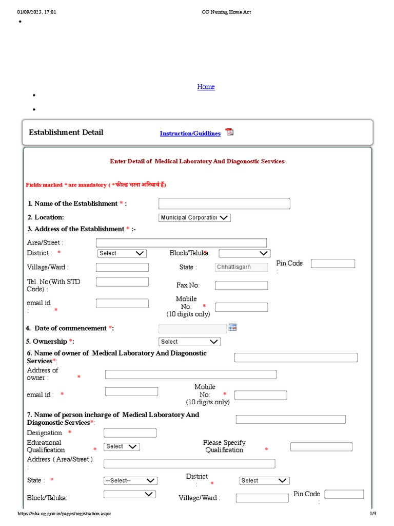CG Nursing Home Act PDF Nursing Health Care
