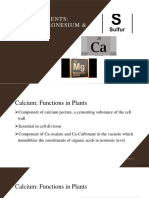 UNIT 5 - Secondary Macronutrients and Micronutrients