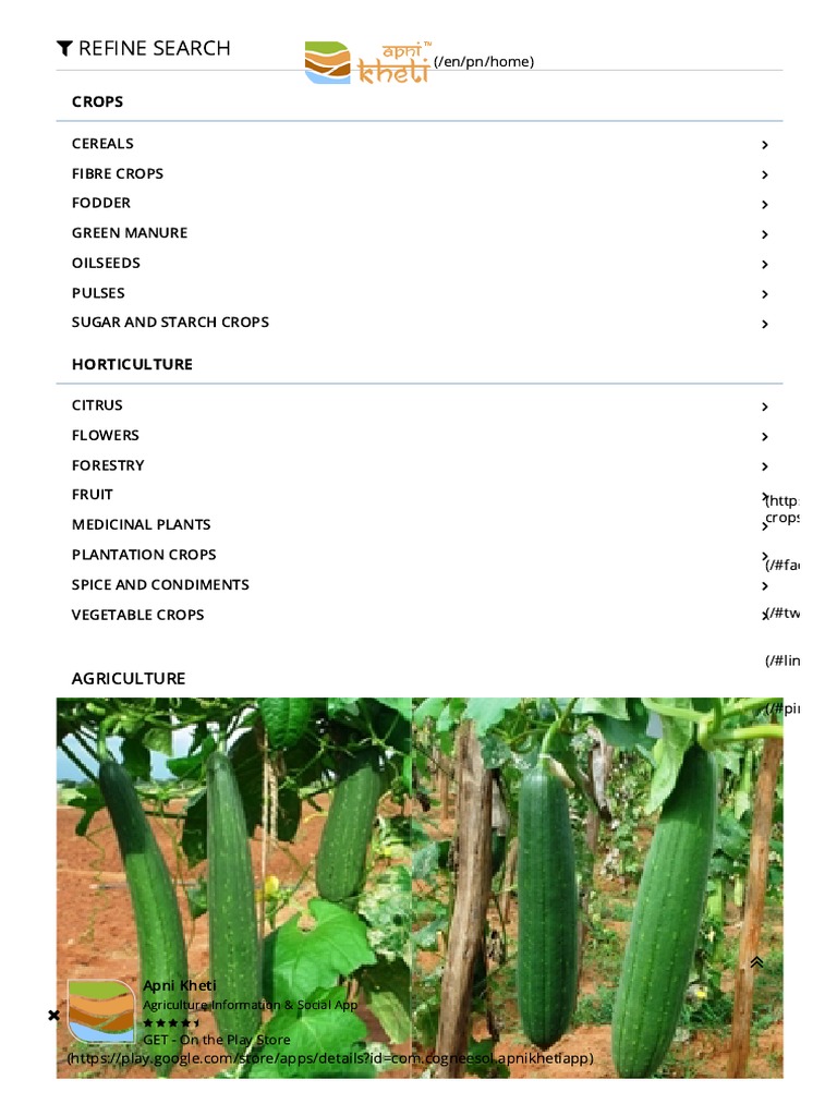 Sponge Gourd Farming Information Apni Kheti PDF Sowing Seed