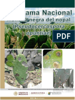 PANManchanegradelnopal 3cac4171 75bf 4206 A0e4 156d7dab9393