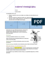 Resumen Mine Optica Solemne 1