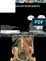 Lower Limb Sonoanatomy - Giải phẫu siêu âm chi dưới (Khoá gây tê vùng dưới hướng dẫn siêu âm ĐHYHN)