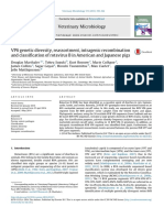 VP6 Genetic Diversity, Reassortment, Intragenic Recombination and Classification of Rotavirus B in American and Japanese Pigs