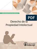 Derecho de La Propiedad Intelectual