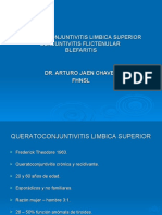 2.-Conjuntivitis Limbica Superior 06