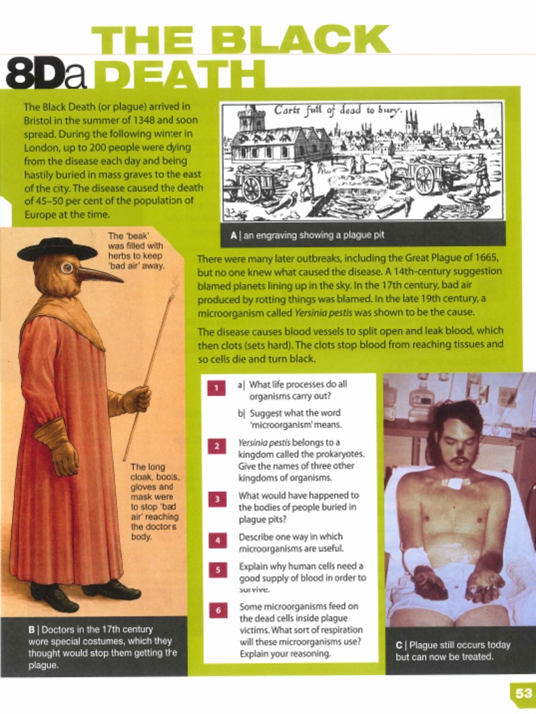 8D Exploring Science Student Book | PDF
