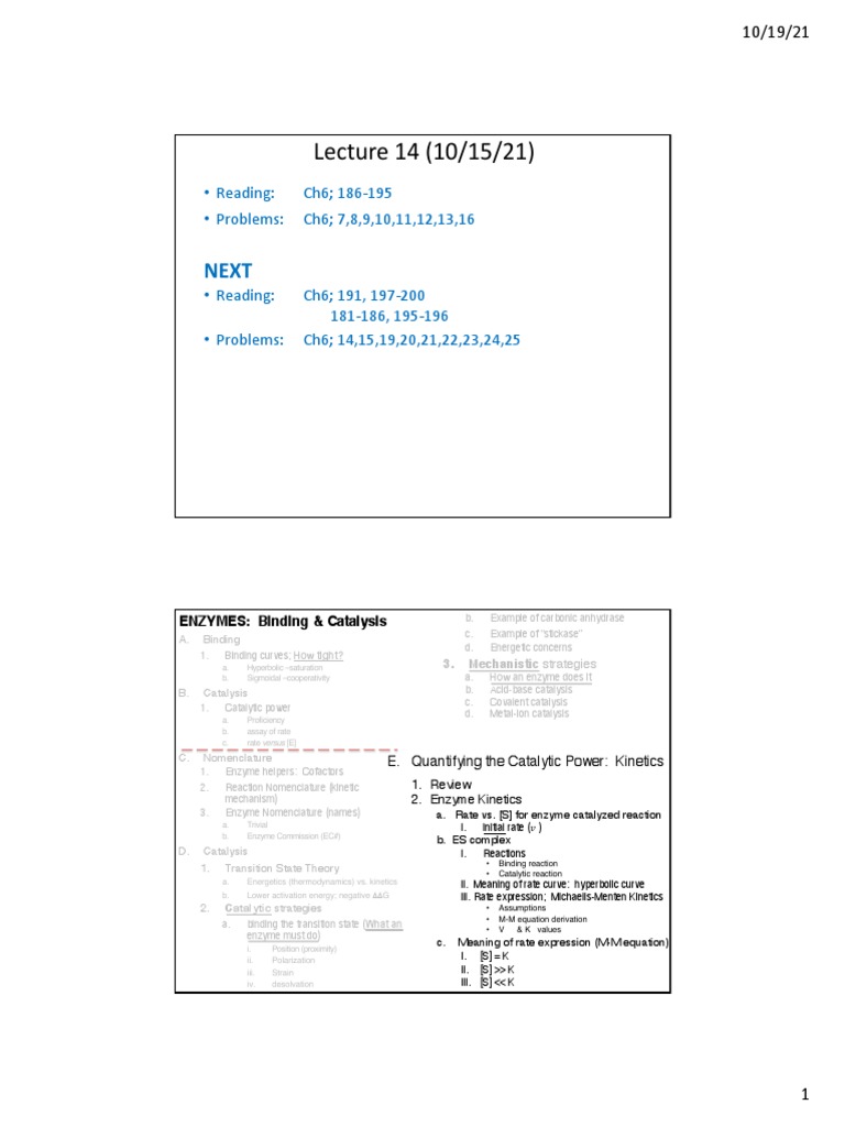 Enzymes PDF Enzyme Enzyme