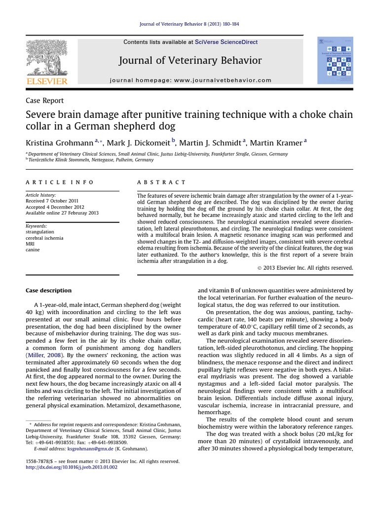 Severe Brain Damage After Punitive Training Technique With A Choke