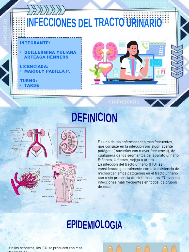 Infecciones Del Tracto Urinario 1 2 Pdf
