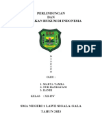 Perlindungan Dan Penegakan Hukum