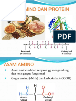 Asam Amino, Peptida, Dan Protein