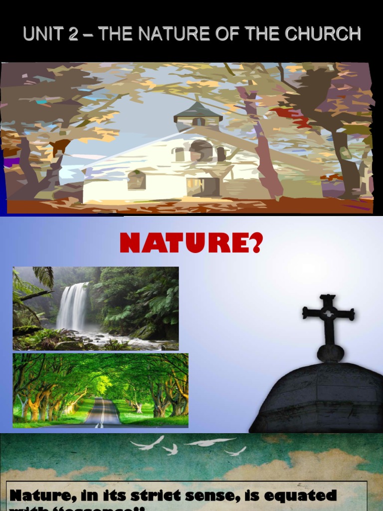 Module 3 Church | PDF | Catholic Church | Body Of Christ