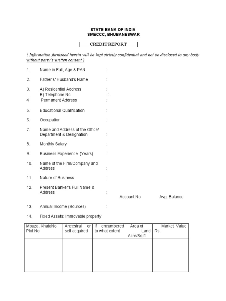 SBI Credit Report for Loan Application | PDF