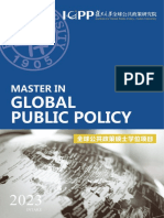 Master in Global Public Policy