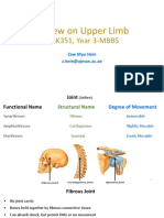 Review On Upper Limb-29!8!23-1