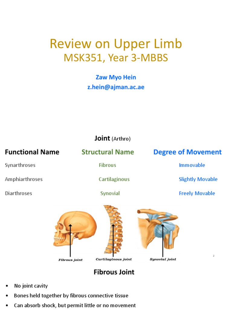 review-on-upper-limb-29-8-23-1-pdf-anatomical-terms-of-motion