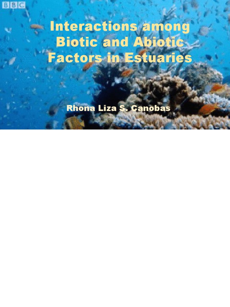 Biotic and Abiotic Factors in Estuaries | PDF | Estuary | Ecosystem