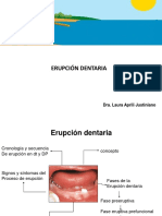 Erupción Dentaria Presentación