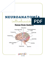 Introducción A Neurología-Anatomía