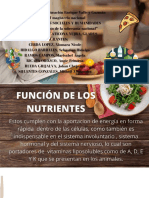 ALIMENTOS