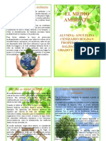 Diptico Del Medio Ambiente 4