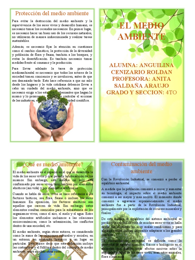 Diptico Del Medio Ambiente 4 | Descargar gratis PDF | Entorno natural ...