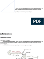 CM 3 - CM 4 Neurophysiologie - Neurotransmission Et Exemple Du SNA N GuÃ©rout