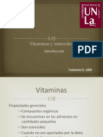 Vitaminas y Minerales - Introducción 2020